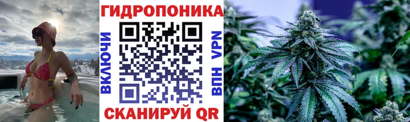 МАРИХУАНА гибрид  Кукмор 